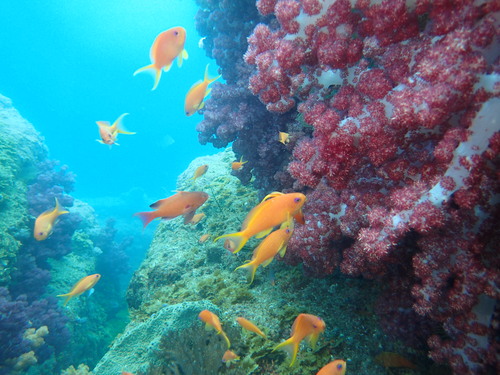 c0115421_21181778.jpg