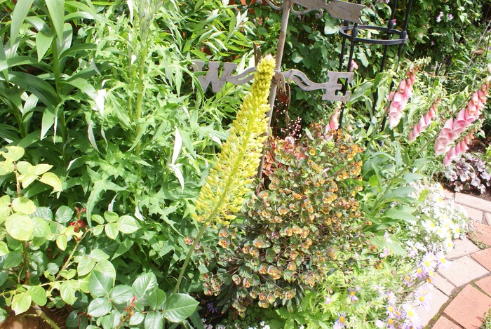 f0170524_2135898.jpg