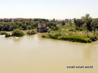 c0039428_23111024.jpg