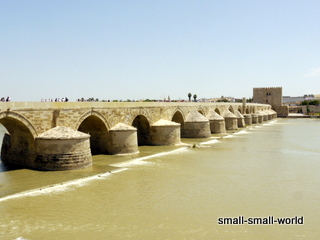 c0039428_23111744.jpg