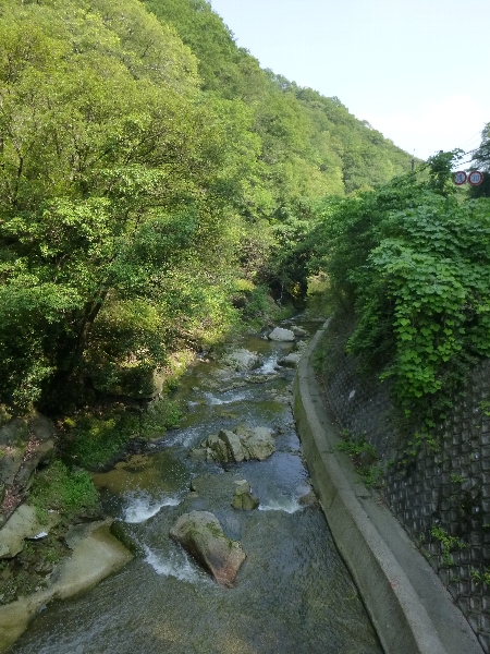 自転車とナンと石鹸_c0113733_265598.jpg