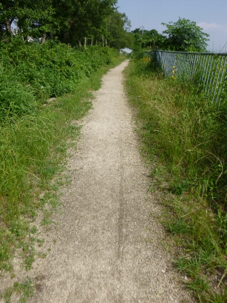 自転車とナンと石鹸_c0113733_281692.jpg