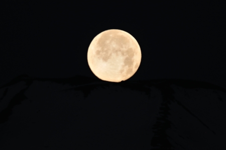 c0314839_21144987.jpg