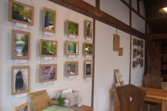 砂の釣り&ミルズピクニック写真展!_b0207642_15242417.jpg