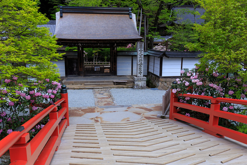 シャクナゲ満開!室生寺(前編)_f0155048_1840182.jpg