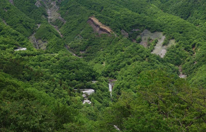 b0325549_20571201.jpg