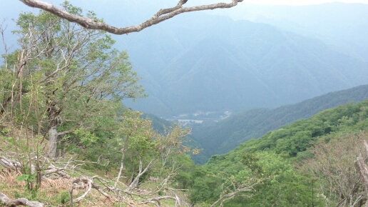 b0148050_14112157.jpg