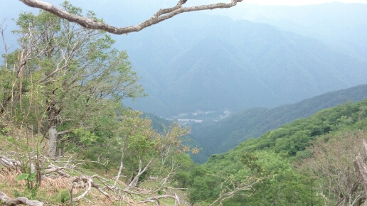 比良縦走第二弾♪　　朽木栃生〜武奈ヶ岳〜シャカ岳~比良_b0148050_14112157.jpg