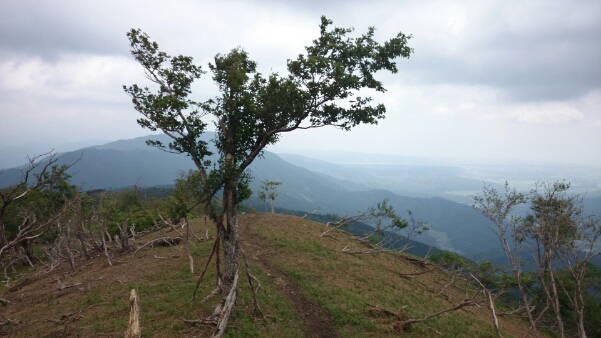 b0148050_14132378.jpg