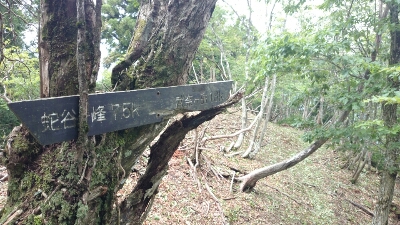 b0148050_1414178.jpg