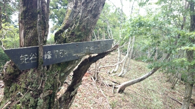 比良縦走第二弾♪　　朽木栃生〜武奈ヶ岳〜シャカ岳~比良_b0148050_1414178.jpg