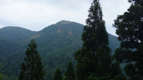 b0148050_14152488.jpg