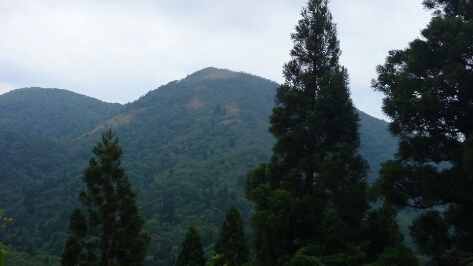 比良縦走第二弾♪　　朽木栃生〜武奈ヶ岳〜シャカ岳~比良_b0148050_14152488.jpg