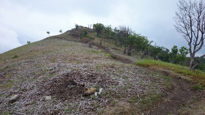 比良縦走第二弾♪　　朽木栃生〜武奈ヶ岳〜シャカ岳~比良_b0148050_141753.jpg