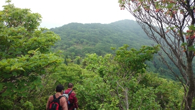 比良縦走第二弾♪　　朽木栃生〜武奈ヶ岳〜シャカ岳~比良_b0148050_14201453.jpg