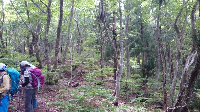 比良縦走第二弾♪　　朽木栃生〜武奈ヶ岳〜シャカ岳~比良_b0148050_14205794.jpg