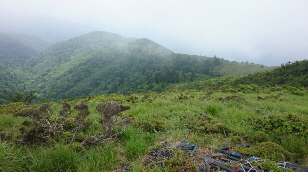 比良縦走第二弾♪　　朽木栃生〜武奈ヶ岳〜シャカ岳~比良_b0148050_1420756.jpg