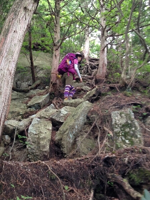 比良縦走第二弾♪　　朽木栃生〜武奈ヶ岳〜シャカ岳~比良_b0148050_14245221.jpg