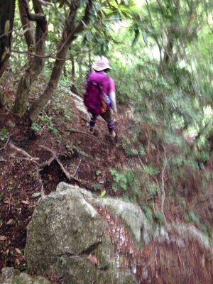 比良縦走第二弾♪　　朽木栃生〜武奈ヶ岳〜シャカ岳~比良_b0148050_1425529.jpg