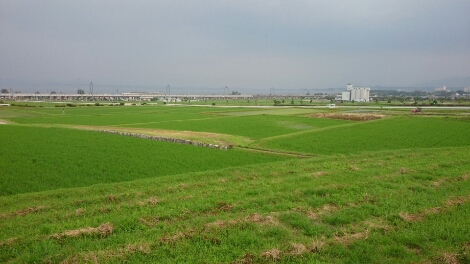 比良縦走第二弾♪　　朽木栃生〜武奈ヶ岳〜シャカ岳~比良_b0148050_14262163.jpg