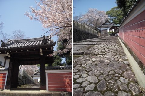 當麻寺　奥院で（葛城市）_d0049152_13252085.jpg