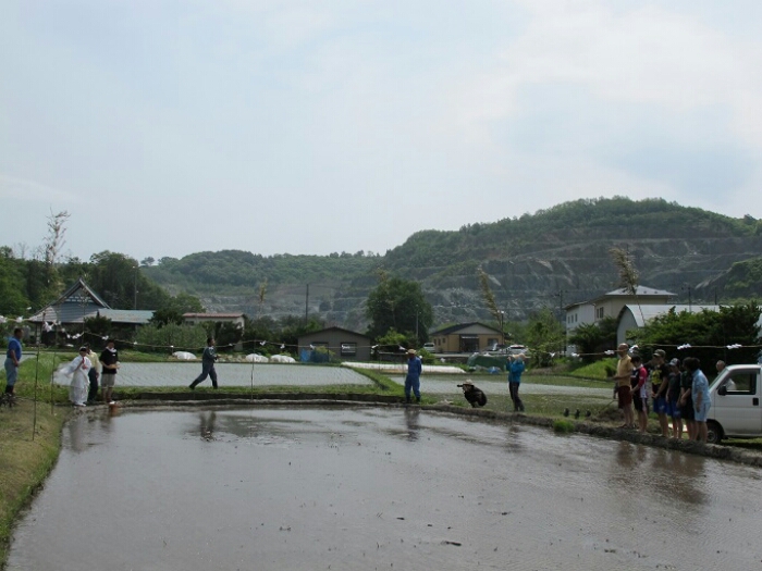 f0339053_1719959.jpg
