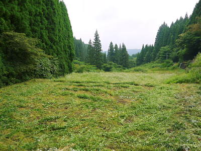 a0254656_18553511.jpg