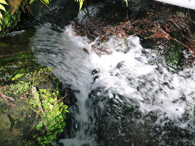 a0254656_190216.jpg