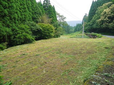 a0254656_1915710.jpg