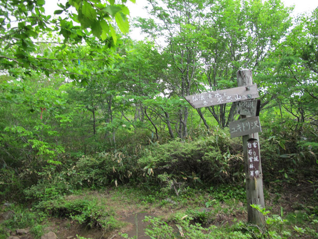 2014年6月15日　南蔵王（不忘山・屏風岳周回）_c0116856_20403520.jpg