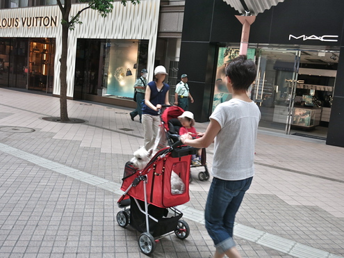 カートデビュー♡_c0260460_14293935.jpg