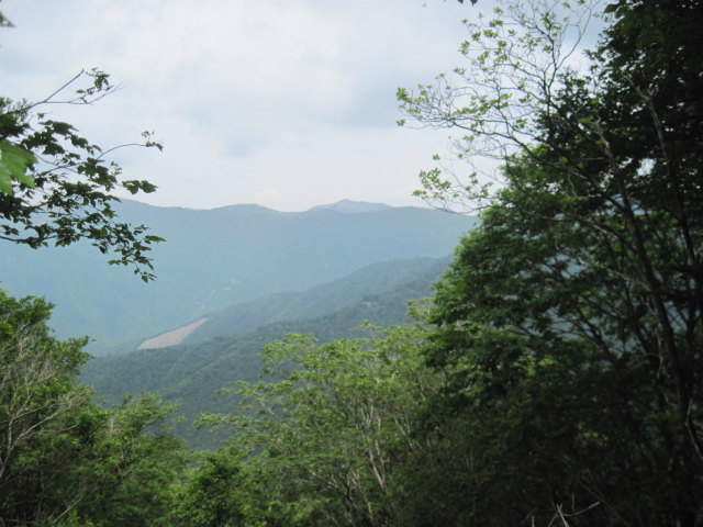 c0219866_1313264.jpg