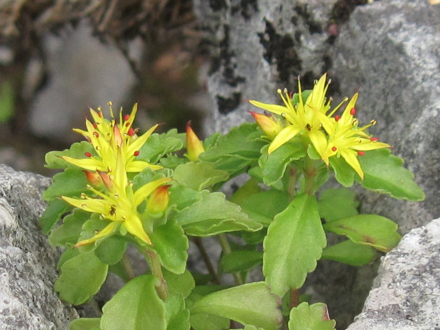 c0219866_13395674.jpg