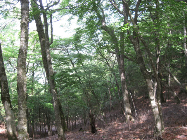 c0219866_139244.jpg