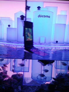 SKY AQUARIUM_d0233770_23314317.jpg