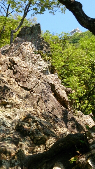 f0084573_2111429.jpg