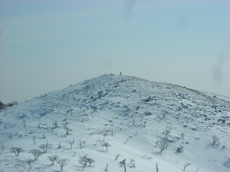 f0355473_20254955.png