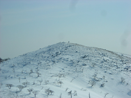 雪山登山_f0355473_20254955.png