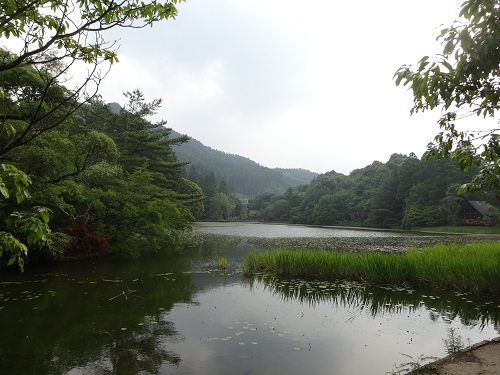 山鹿温泉と八女へ_d0195183_953212.jpg