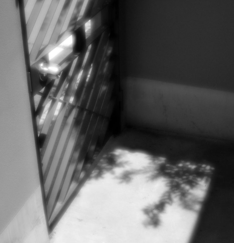 c0229384_123325.jpg