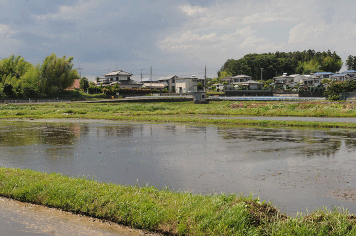 田植え日和　＜家族で田植え＞_e0248688_17183347.gif