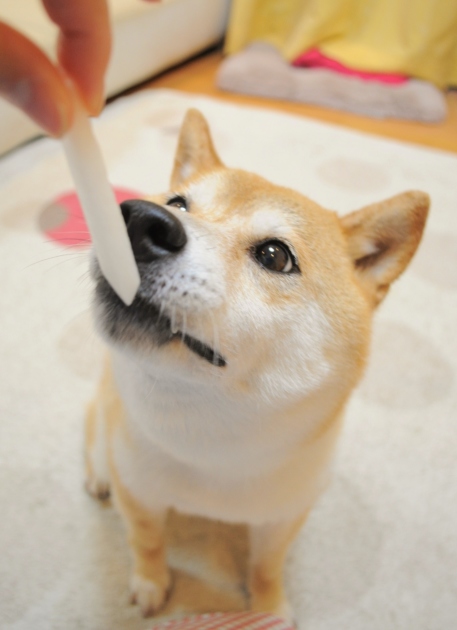 できる男_a0126590_22531587.jpg