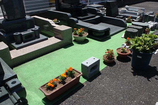 d0154292_1331387.jpg