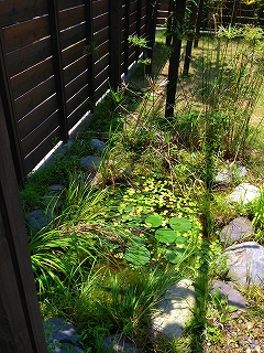 a0244794_21571456.jpg