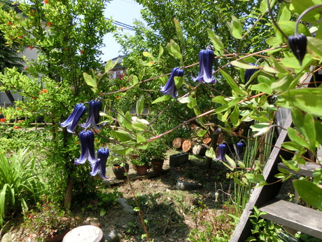 a0203003_13303651.jpg