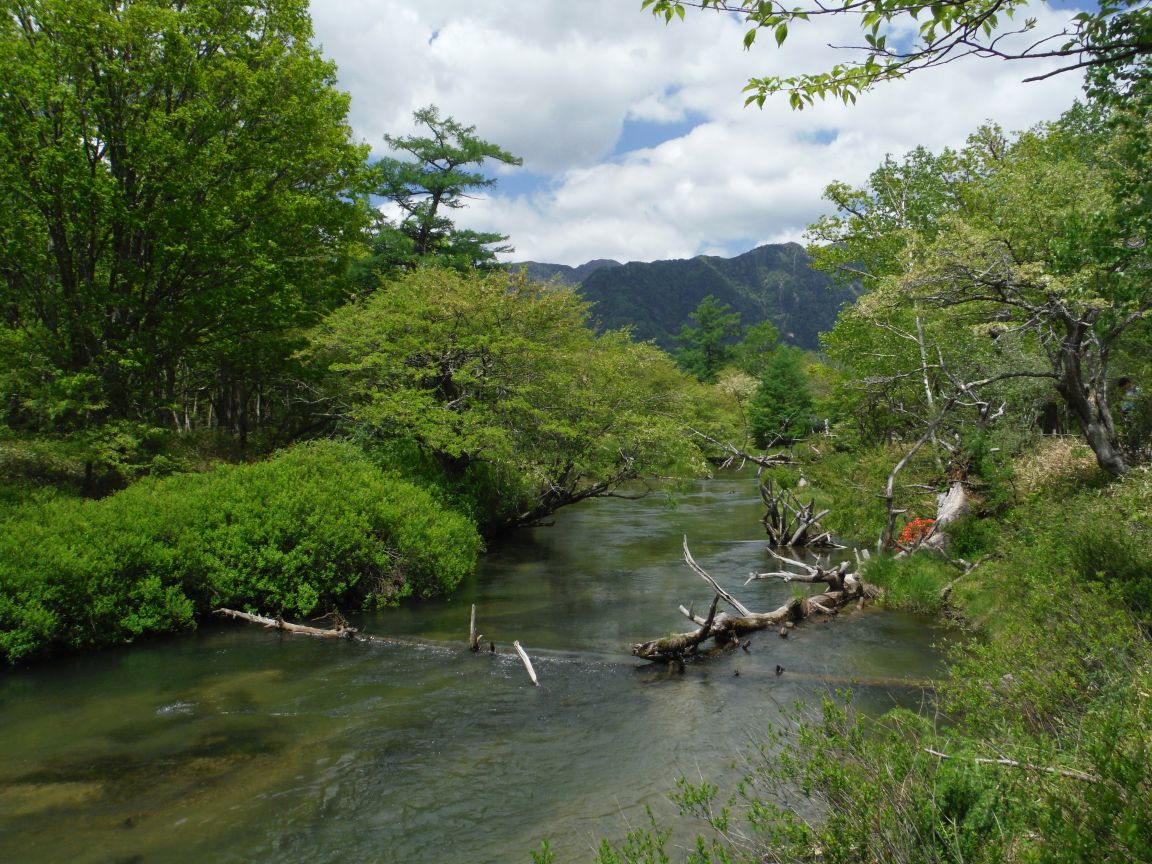 川鱒とフライフィッシャーの楽園、湯川に遊ぶ_b0172805_332014.jpg