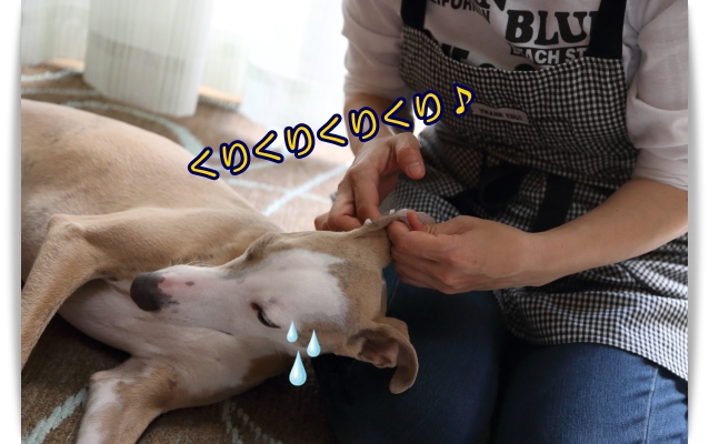 e0100007_2143406.jpg