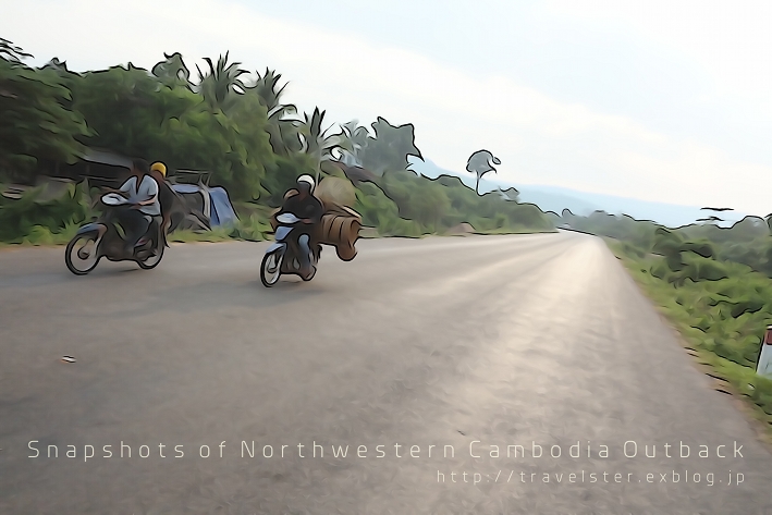 爽やかすぎるカンボジアの田舎道を行く_b0108109_21251056.jpg