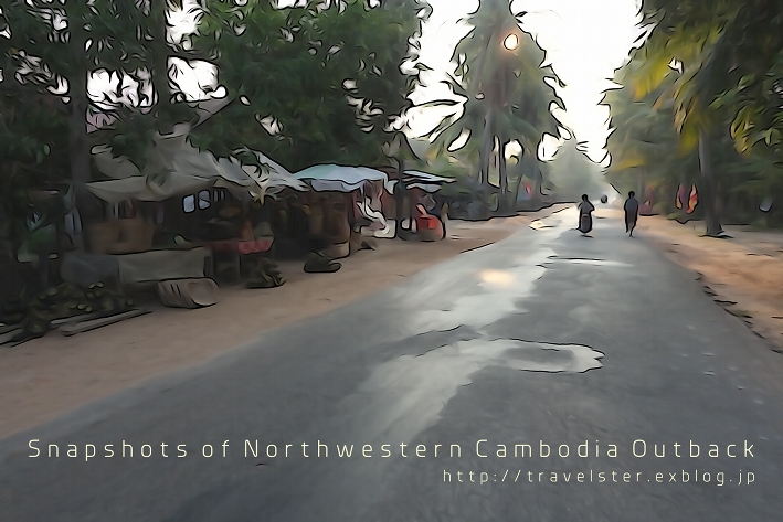 爽やかすぎるカンボジアの田舎道を行く_b0108109_2132693.jpg