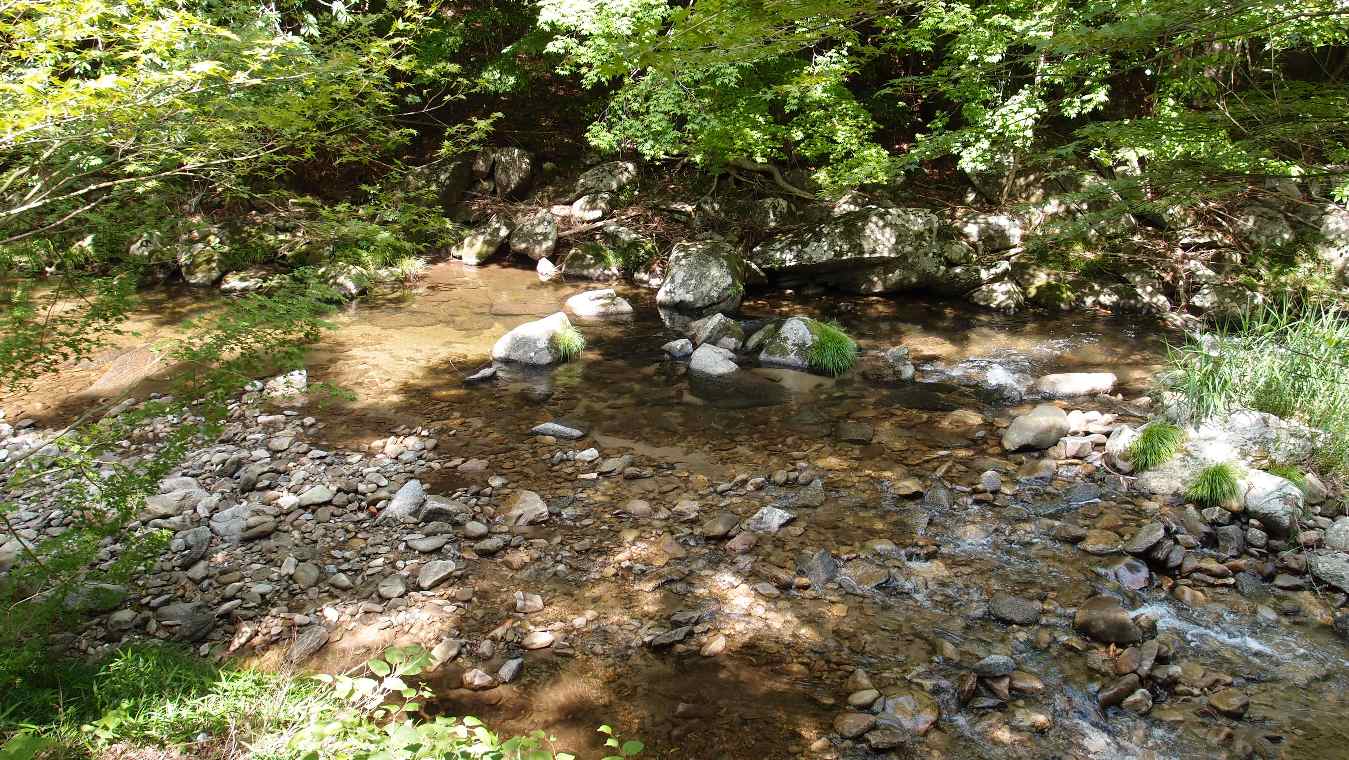 故郷　愛知にも沢山知らない山や川があるのだ・・その2_e0003910_2230990.jpg